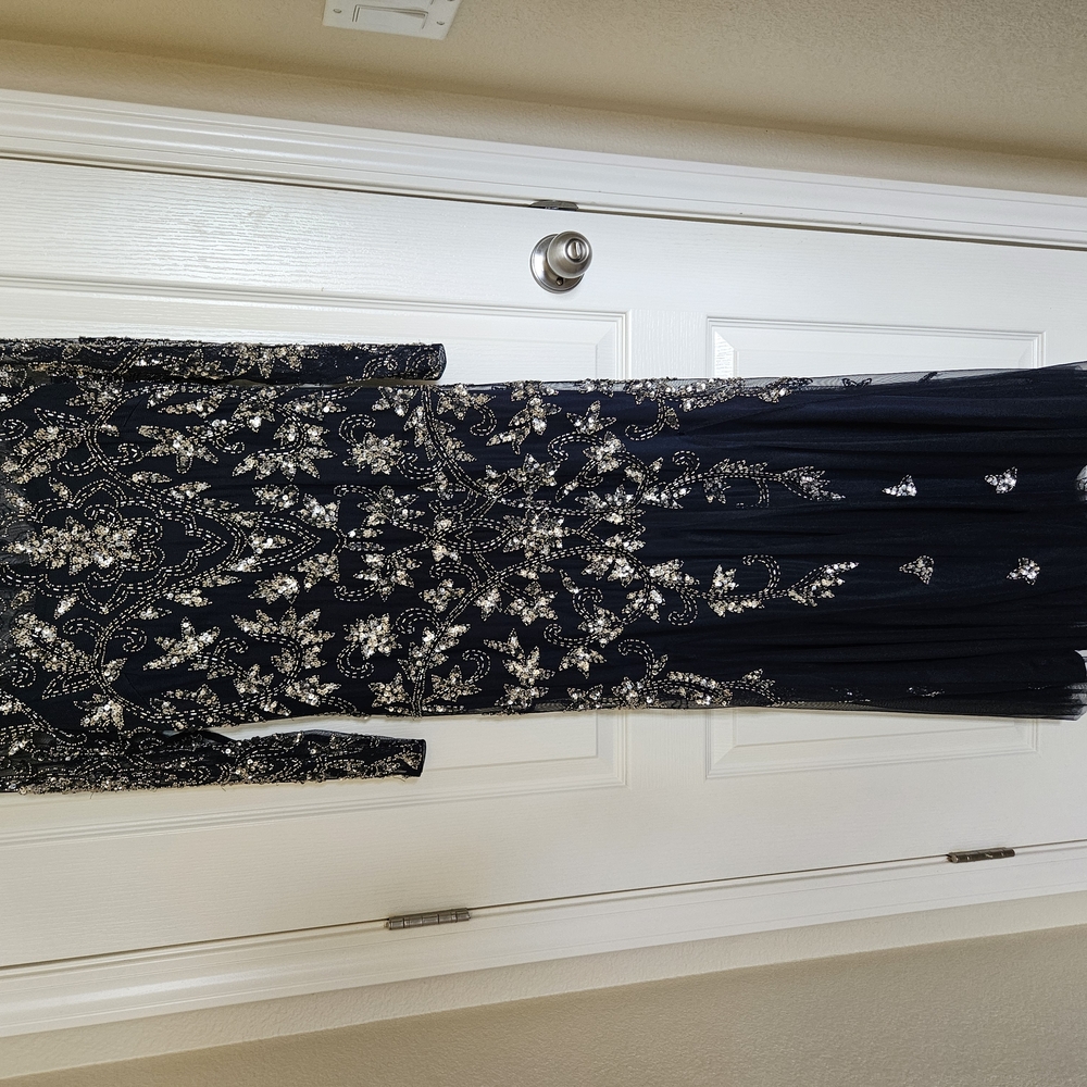Elegant Black and Silver Embellished Dress